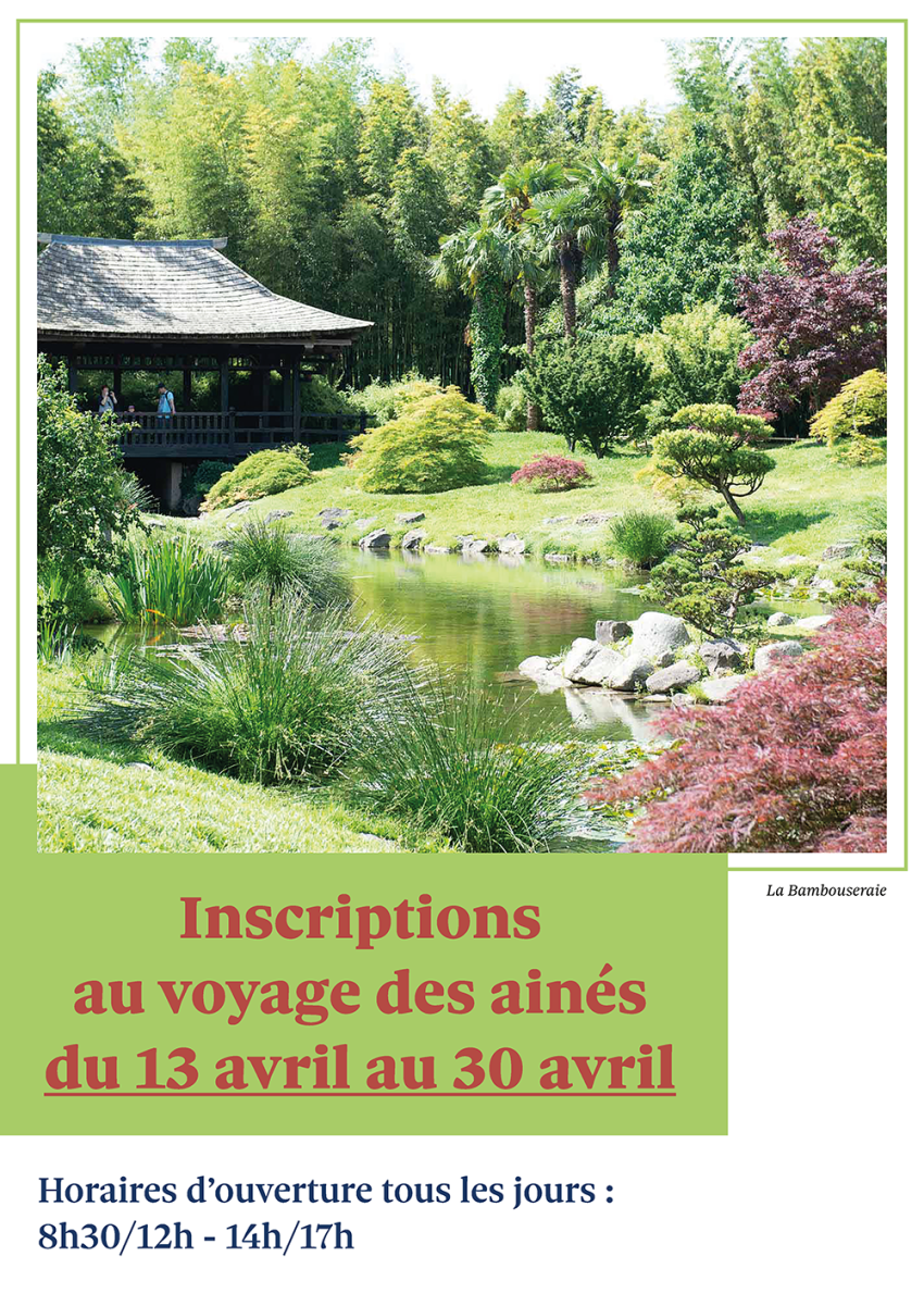 voyage-aines-2026-affiche-a3.png