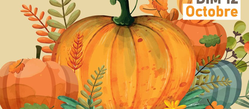affiche-fete-de-la-courge-1.jpg